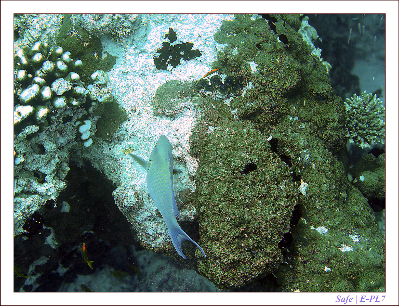 2019 - 07 - Snorkeling maldives - 01